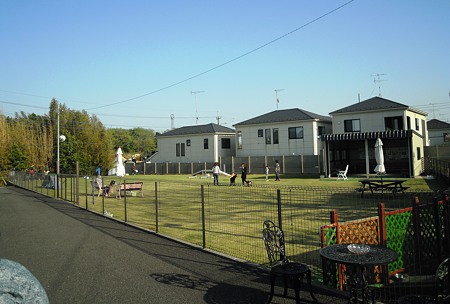 DSCN2062