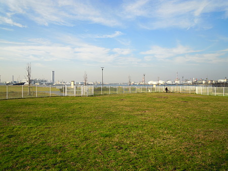 DSCN5356