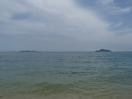 P7314016