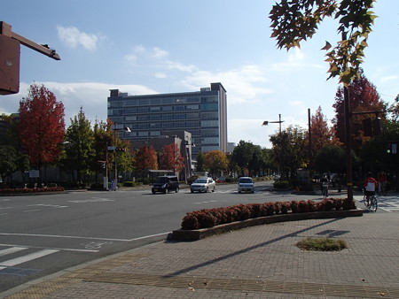 PA254350