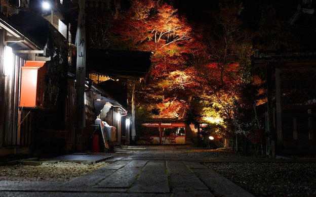 鍬山神社・ライトアップ35