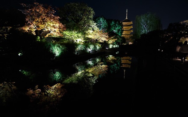 東寺・ライトアップ08