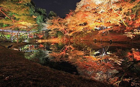 2009高台寺夜間拝観21