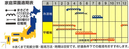 小玉スイカの育て方 種まき時期 3月 4月 と品種選び 暇人主婦の家庭菜園 楽天ブログ