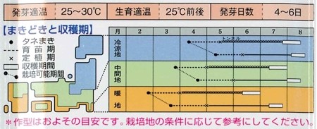 小玉スイカの育て方 種まき時期 3月 4月 と品種選び 暇人主婦の家庭菜園 楽天ブログ