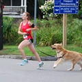 Photos: Running Dog 8-22-15