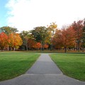 Campus in Autumn 10-24-15