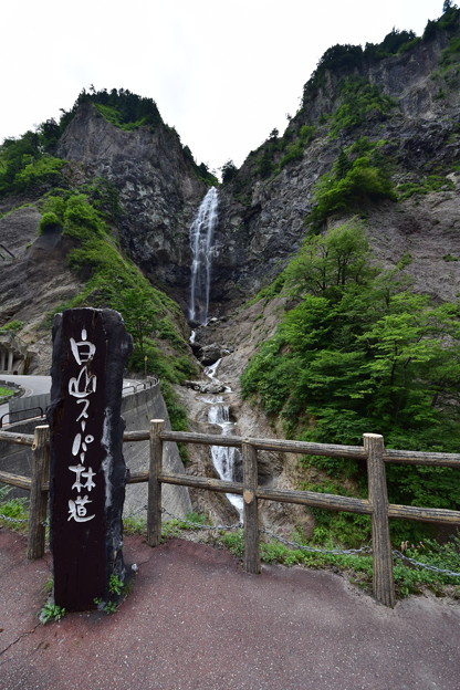 白山スーパー林道