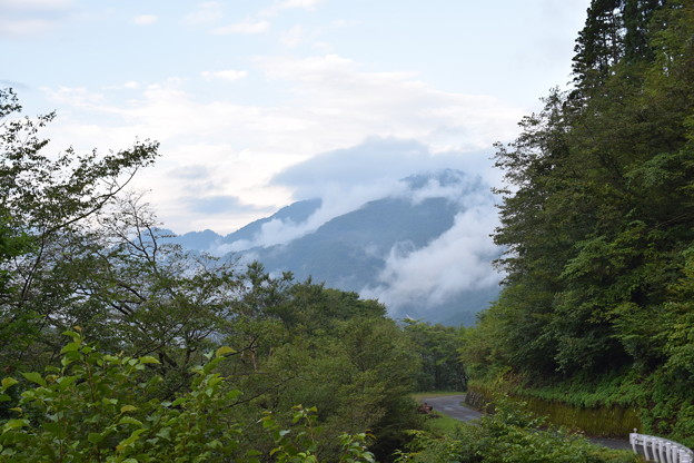 国道157号線