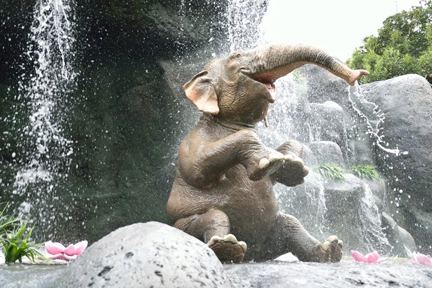 DSC_0197_108ディズニーランド14
