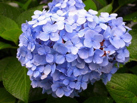 R0021768