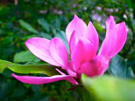 R0022226