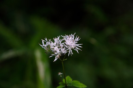 IMG_4157