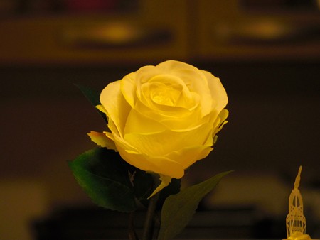 IMGP0060