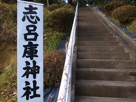 R0033681