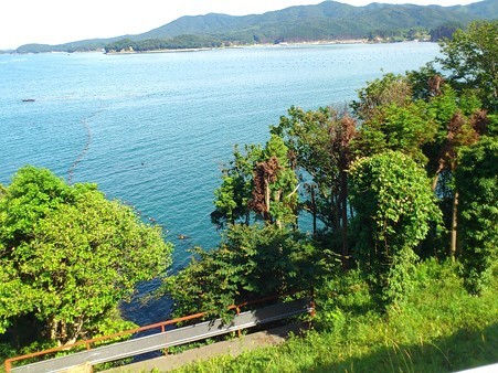 志津川