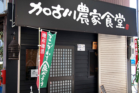 TKG Vol.1(1)