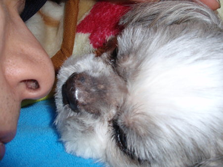 20081212_20