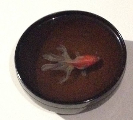 金魚酒_40