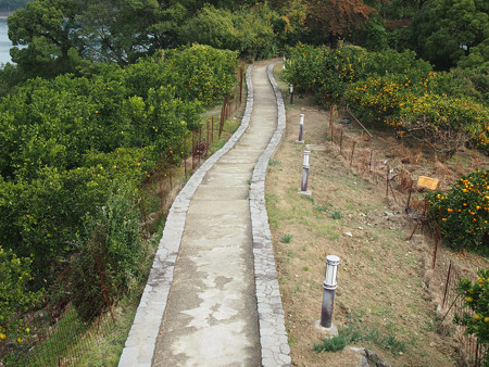 大崎下島