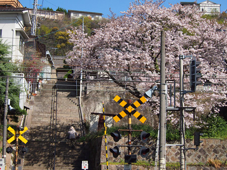 尾道市