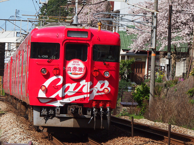 カープ電車