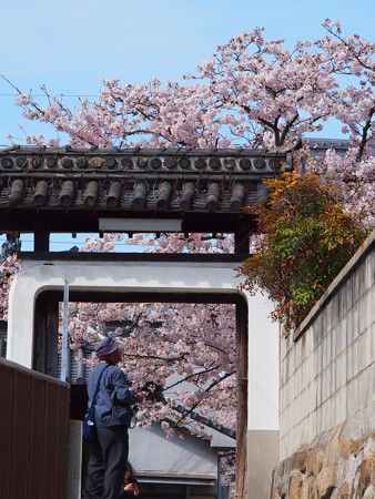 尾道市