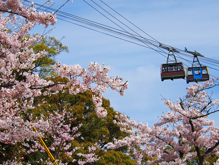 尾道市