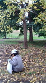 20091113063924