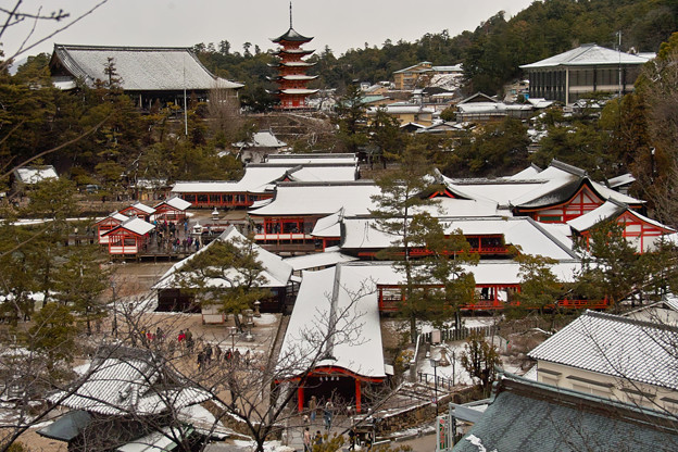 厳島神社の雪化粧