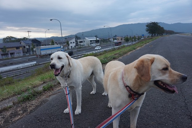 夕暮れ時