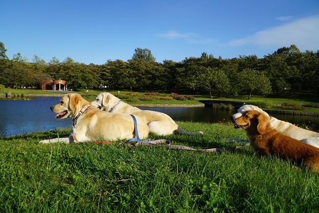 みちのく湖畔公園