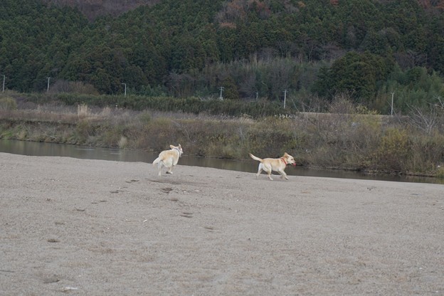 川原