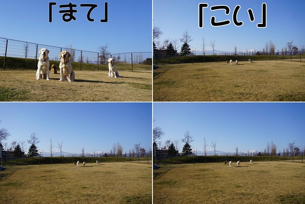 トレーニング