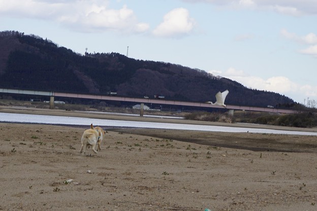 川原で遊ぶ
