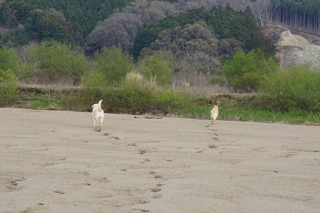 川原で