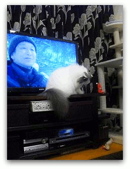 動く1 写真: 動く1