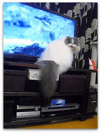 動く002 写真: 動く002