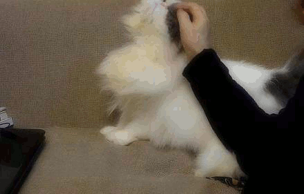 動く001 写真: 動く001