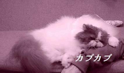 004動く