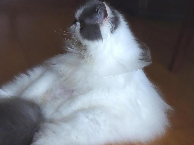 次は何をしようかな?