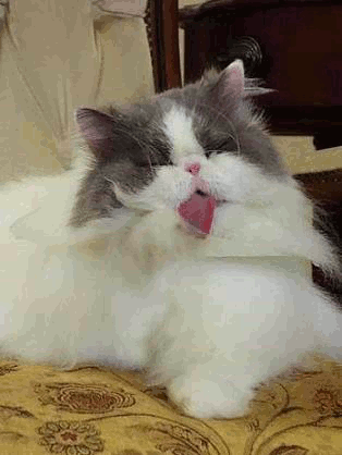 招き猫