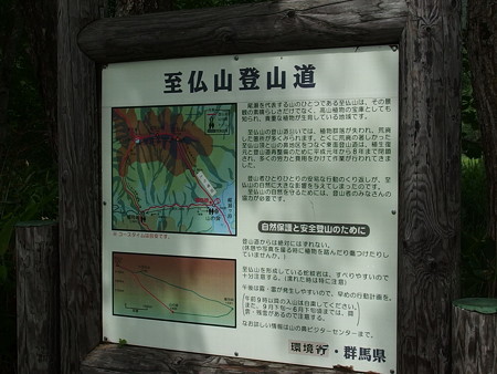 P7230285