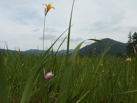 P7230292