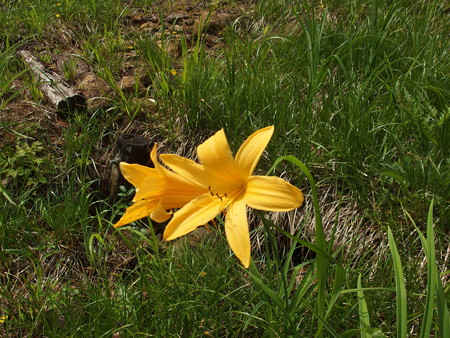P7230308