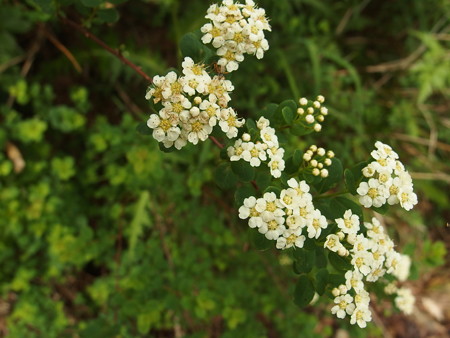 P7230309