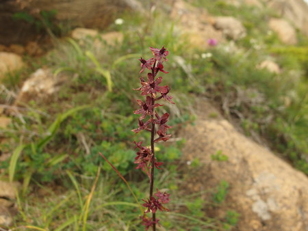 P7230364