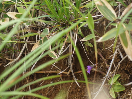 P7230378