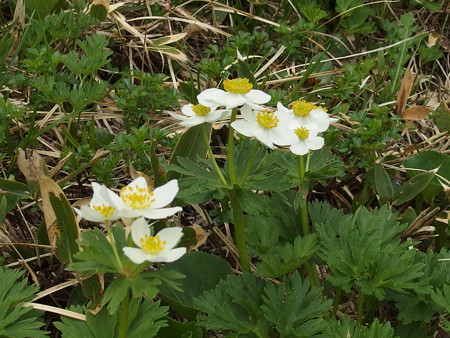 P7230386