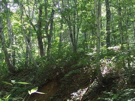 P7290301